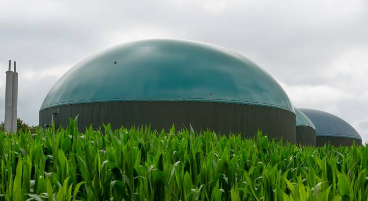 Biodigestori e odori, cosa deve contenere una valutazione ambientale: il caso davanti al TAR Marche