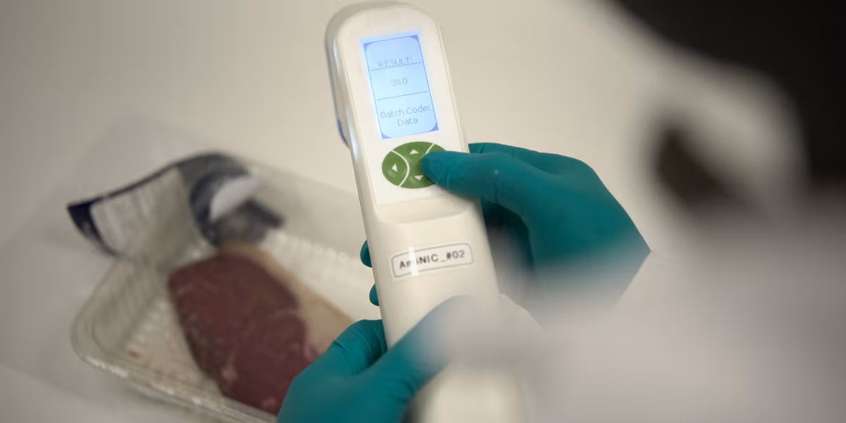 Naso elettronico per carne e pesce: PRECISE misura i segnali del deterioramento