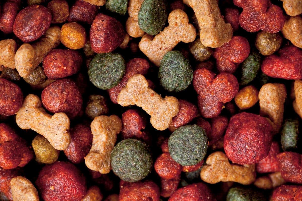 Odori nella produzione di pet food: sorgenti e tecnologie di trattamento